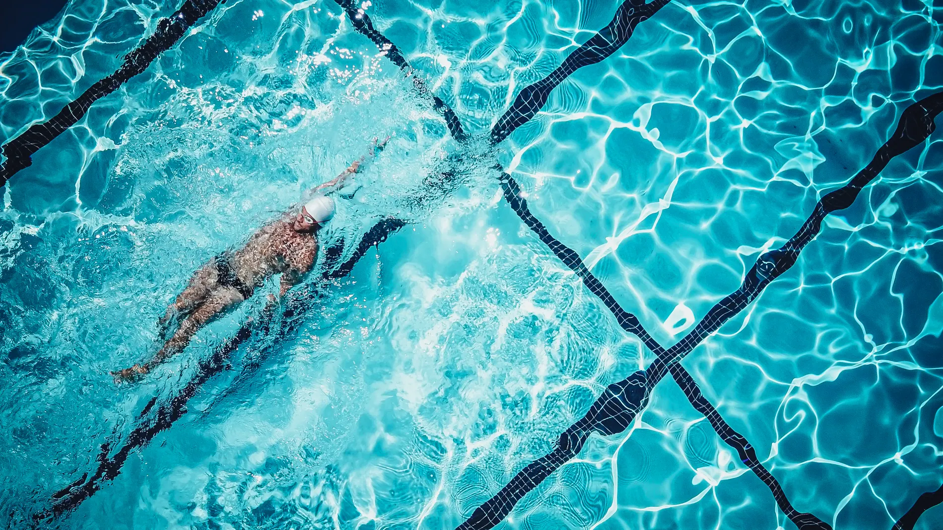 A swimmer seen from directly above in a lap pool